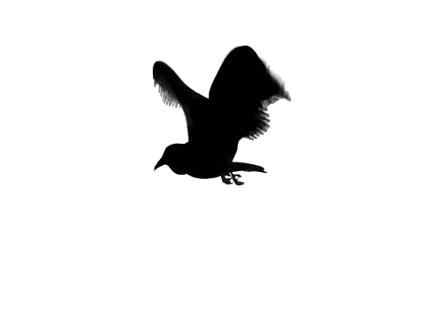 tradelucent logo